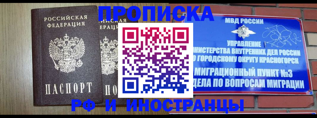 прописка в квартире в Ермолино